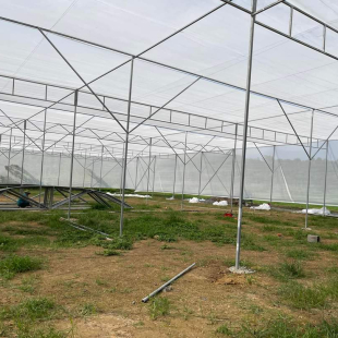 Dịch vụ cung ứng vật tư nhà màng, nhà lưới