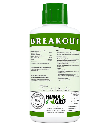 BREAKOUT