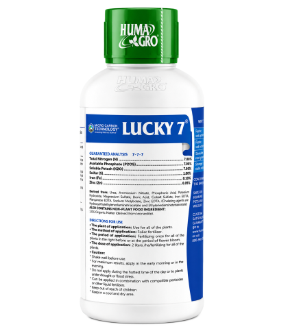 LUCKY 7