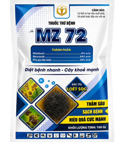 MZ 72