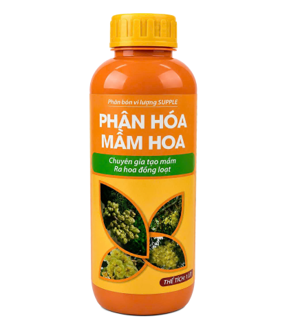 PHÂN HÓA MẦM VITORY
