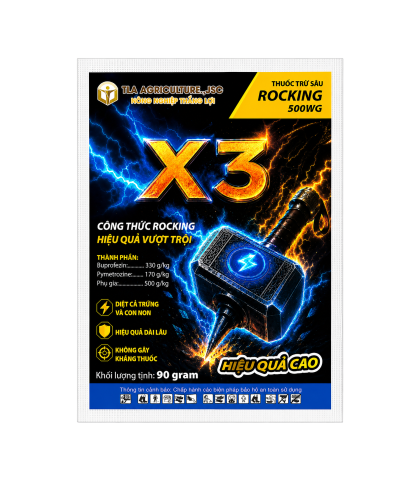 X3