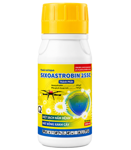 SIXOASTROBIN
