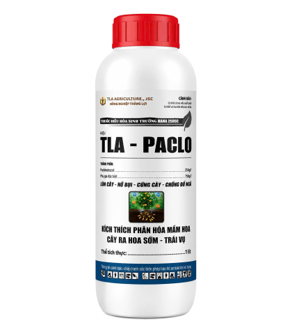 TLA PACLO